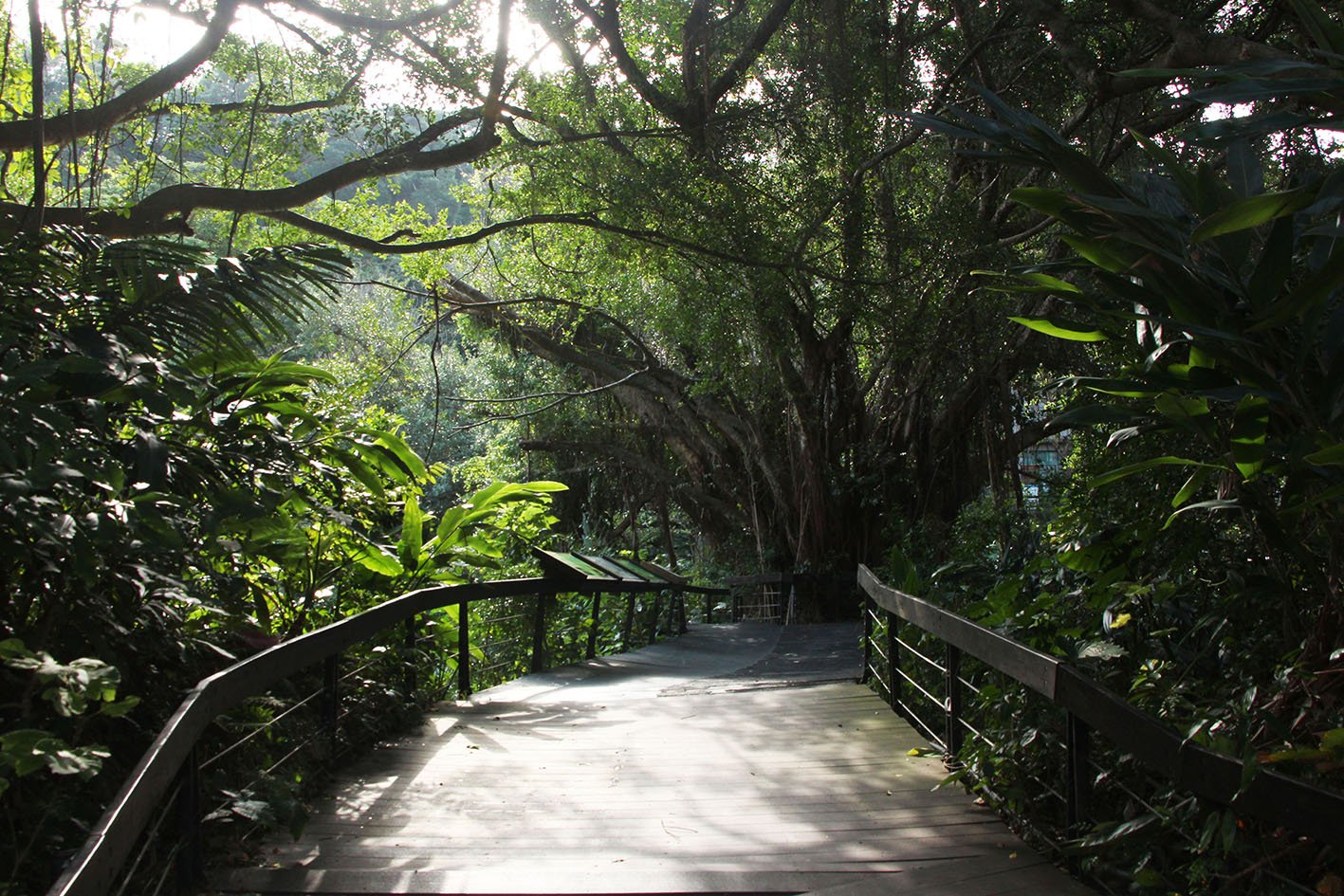 Attraction image 4