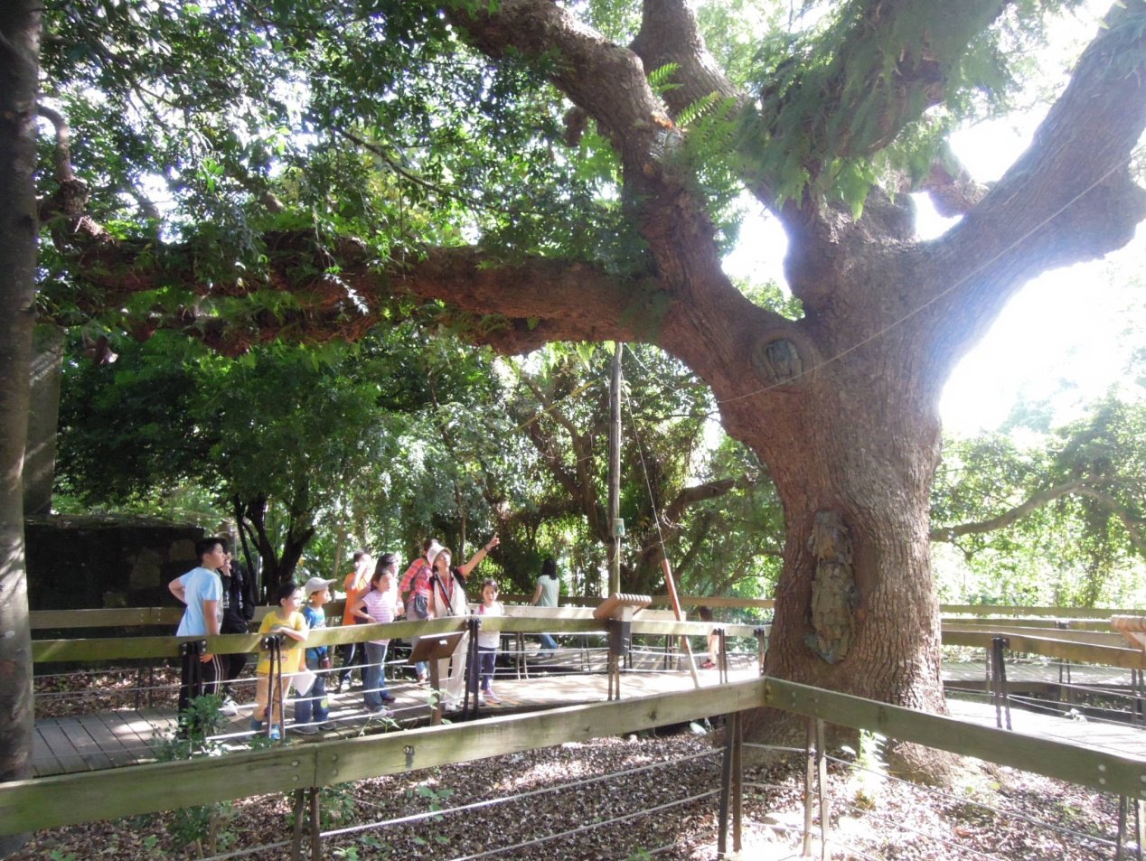 Attraction image 2