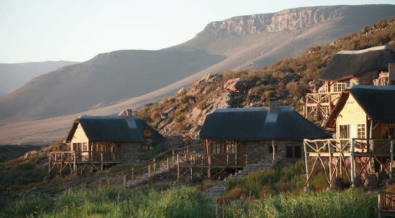 Aquila Private Game Reserve and Spa — Top Muslim-Friendly Resort Surrounded by Nature